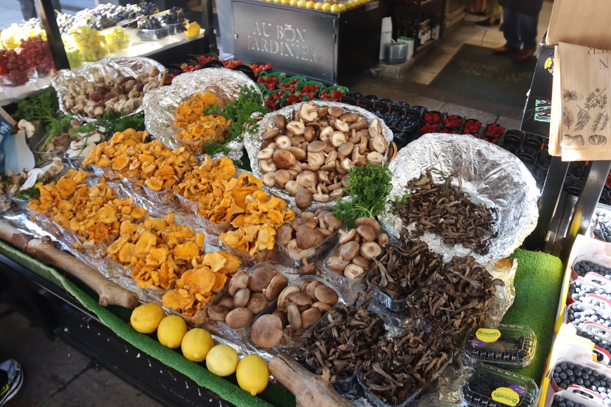 Organic food sourcing in Switzerland